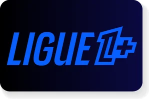 Chaînes sport et entertainment